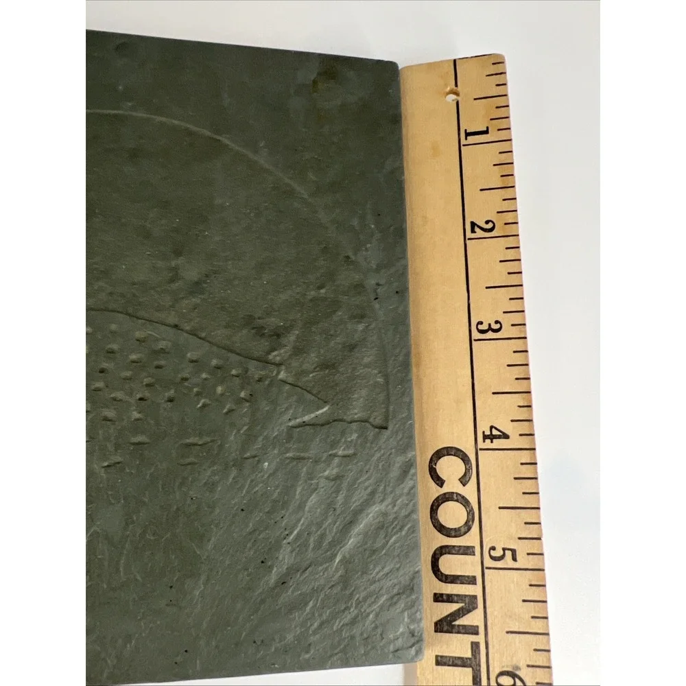 Slate Loon‎ Trivet 5.75